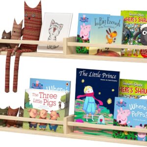 Acrylic Floating Bookshelf (Set of 2)