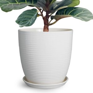 Ceramic Flower Pot (Large)